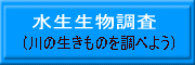 水生生物調査