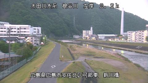 2025年5月3日4時 の様子