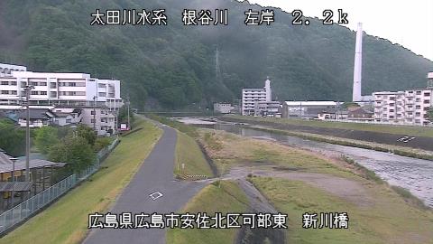 2025年5月3日5時 の様子