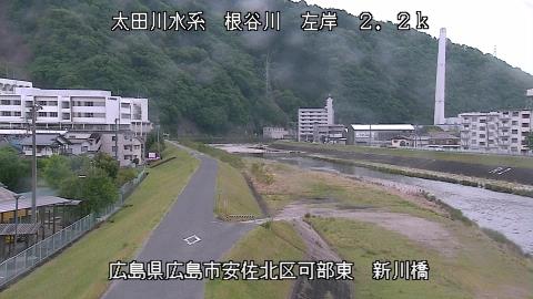 2025年5月3日7時 の様子