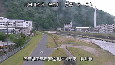 2025年5月3日8時 の様子