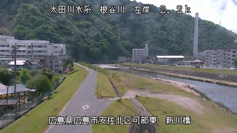 2025年5月3日9時 の様子