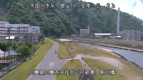 2025年5月3日10時 の様子