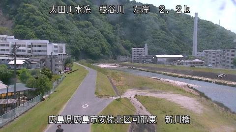 2025年5月3日11時 の様子