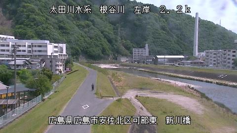 2025年5月3日12時 の様子