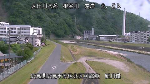 2025年5月3日13時 の様子