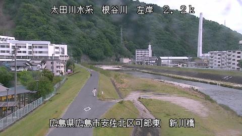 2025年5月2日14時 の様子
