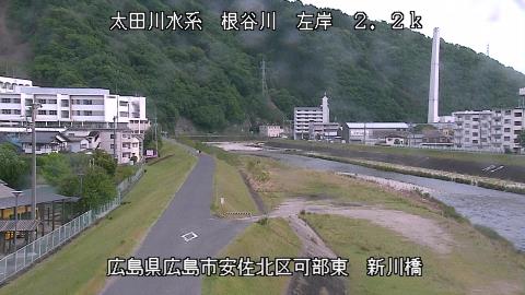 2025年5月2日15時 の様子
