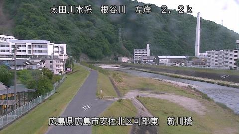 2024年3月28日15時 の様子