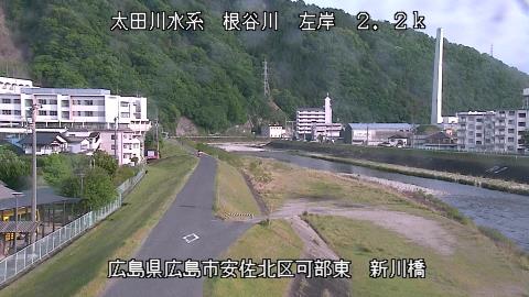 2025年5月2日16時 の様子