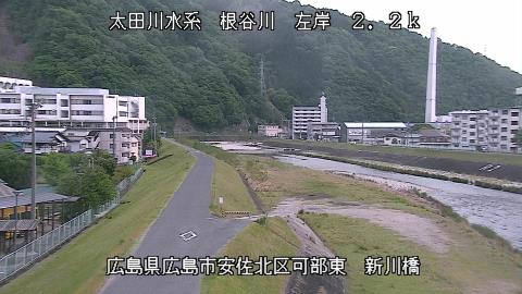 2025年5月2日17時 の様子