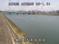 2025年6月19日11時 の様子