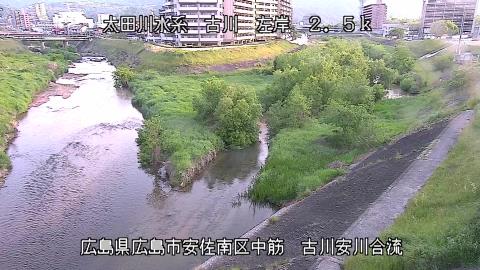 2025年5月3日5時 の様子