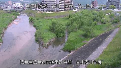 2025年5月3日8時 の様子