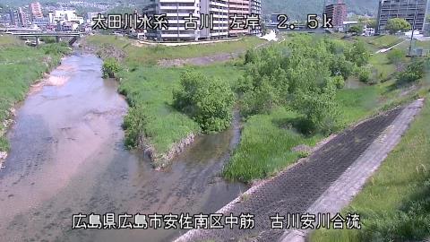 2025年5月3日9時 の様子