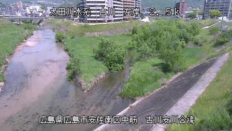 2025年5月3日10時 の様子