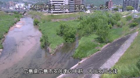 2025年5月3日11時 の様子