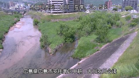 2025年5月3日12時 の様子
