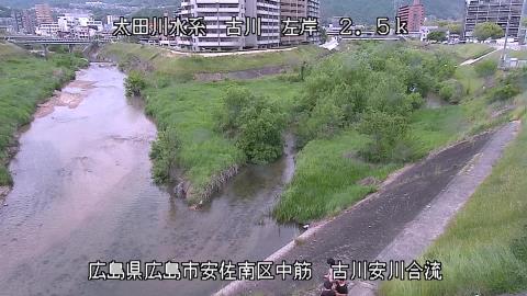 2025年5月2日14時 の様子