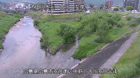 2025年5月2日17時 の様子
