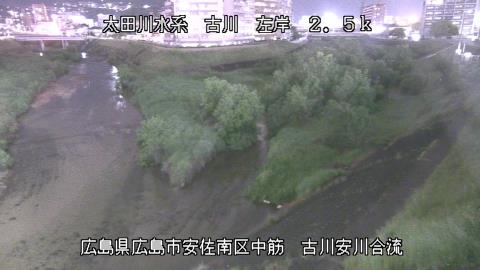 2025年5月2日19時 の様子