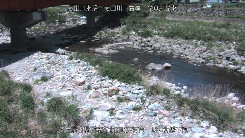 2025年5月3日10時 の様子