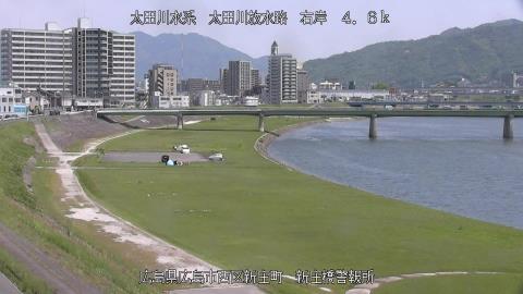 2024年4月19日11時 の様子