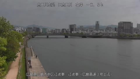 2025年5月3日8時 の様子