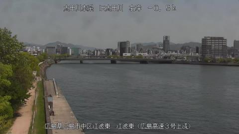 2025年5月3日10時 の様子