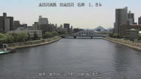 2025年5月3日11時 の様子