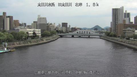 2025年5月2日14時 の様子
