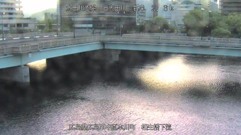 2025年5月3日5時 の様子