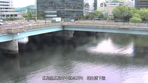 2025年5月3日8時 の様子