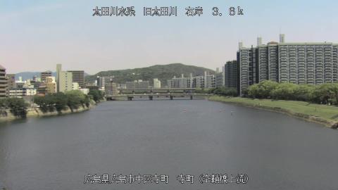 2025年5月3日11時 の様子