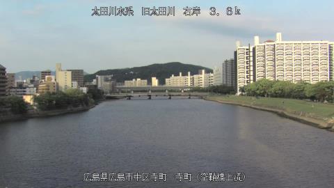 2025年5月2日16時 の様子