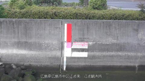 2025年5月3日5時 の様子