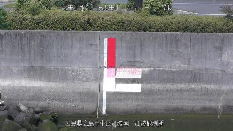 2025年5月3日8時 の様子