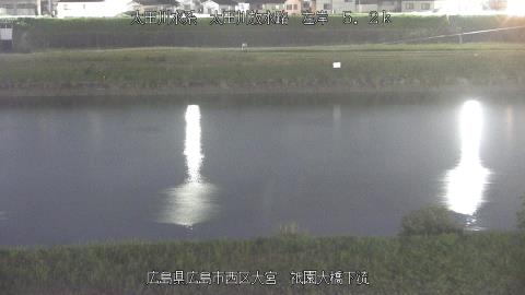 2025年6月19日0時 の様子