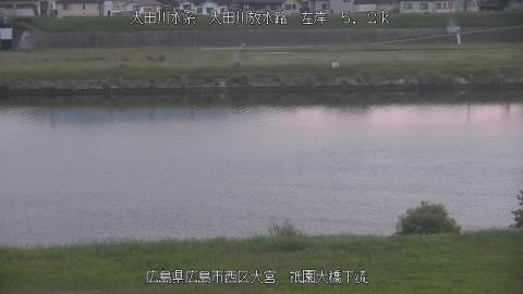2025年6月19日4時 の様子