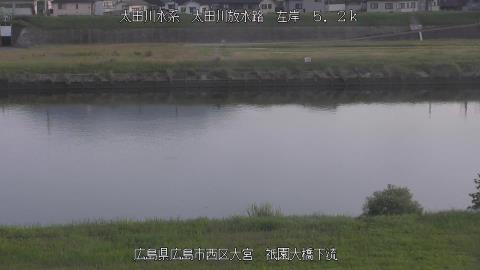 2025年6月19日5時 の様子