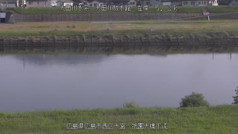 2025年6月19日6時 の様子
