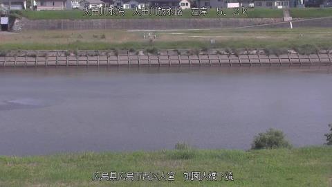 2025年6月19日8時 の様子