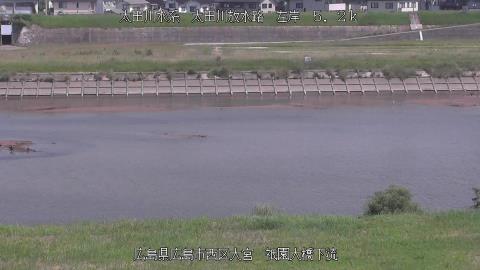 2025年6月19日9時 の様子