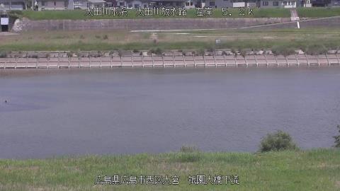 2025年6月19日10時 の様子