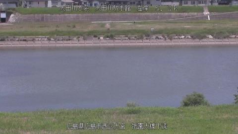 2025年6月19日11時 の様子