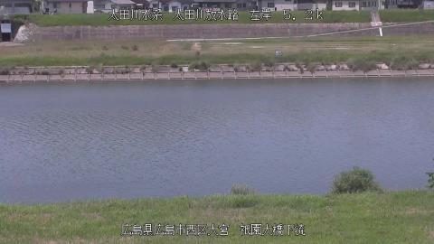 2025年6月19日12時 の様子
