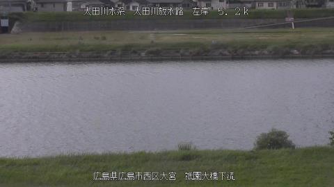 2025年6月18日16時 の様子