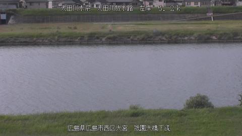2025年6月18日17時 の様子