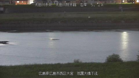 2025年6月18日19時 の様子