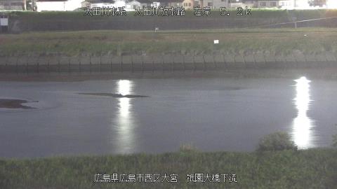 2025年6月18日20時 の様子